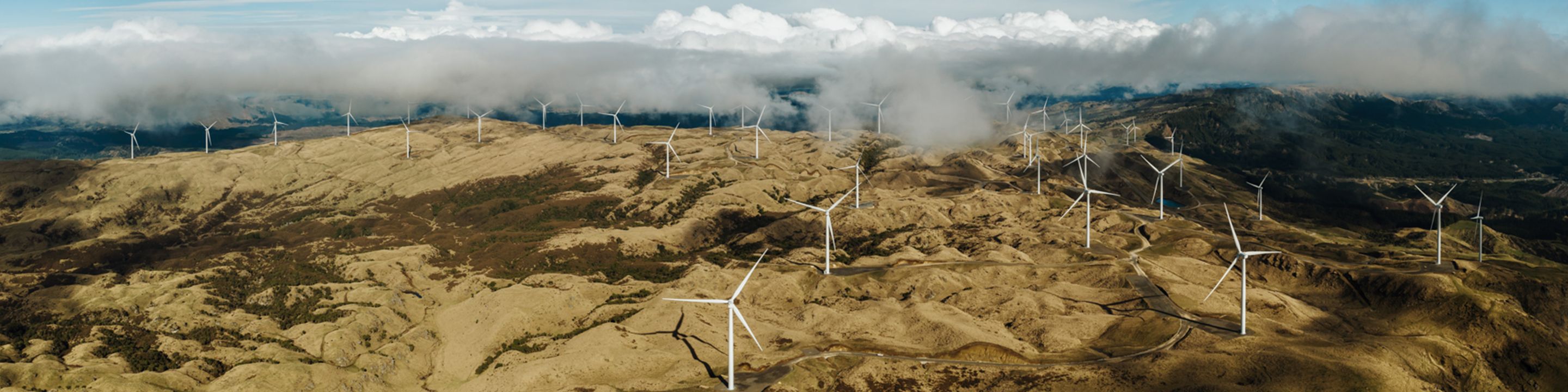 Comprehensive databases of over 500 sector organisations and energy resources